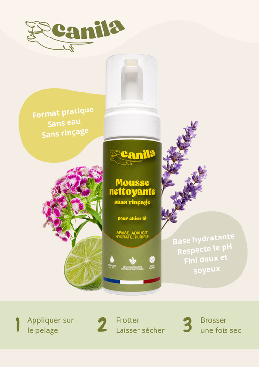 Mousse nettoyante sans rinçage