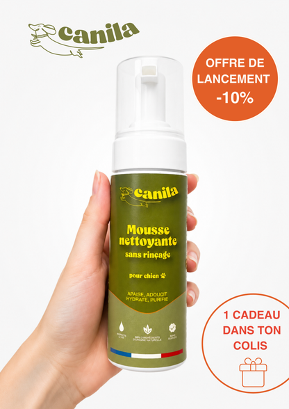 Mousse nettoyante sans rinçage