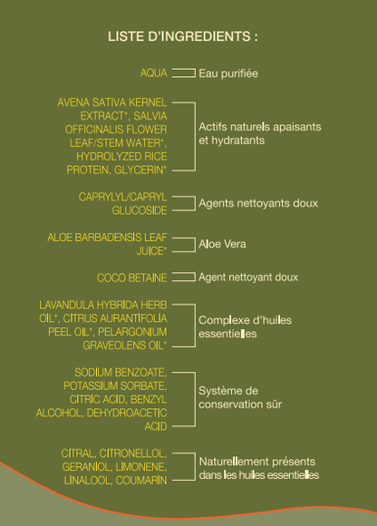 Mousse nettoyante sans rinçage